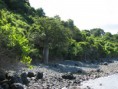 /album/galerie-de-photos-%3a-mon-amoureux-%c3%a0-mayotte-mardi-4-mars/a1ier-jour-pointe-de-saziley-38-jpg/